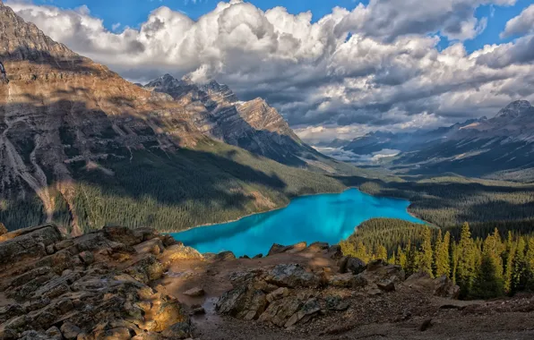 Picture landscape, nature, beauty