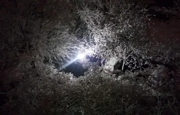 Winter, Trees, Snow, Lantern, Beauty beside