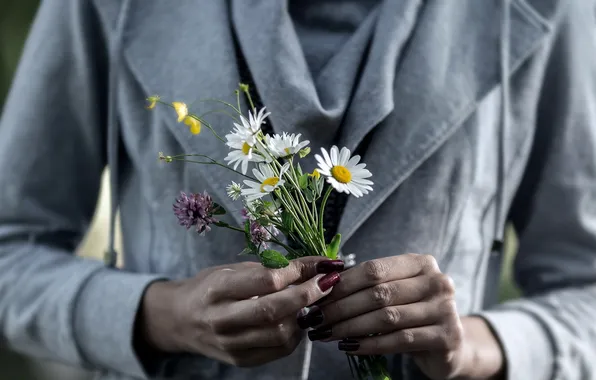 Picture flowers, background, hands