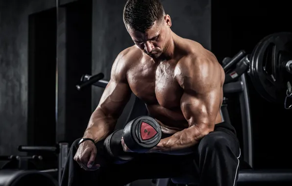 Pose, muscle, muscle, training, dumbbells, gym, gym, bodybuilder