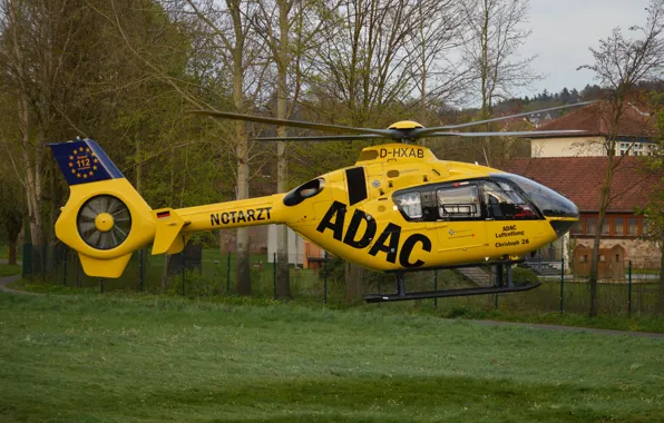 Picture grass, trees, yellow, house, glade, the fence, helicopter, Christoph 28