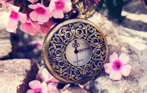 Flowers, time, watch, spring, dial, flowers, spring, time