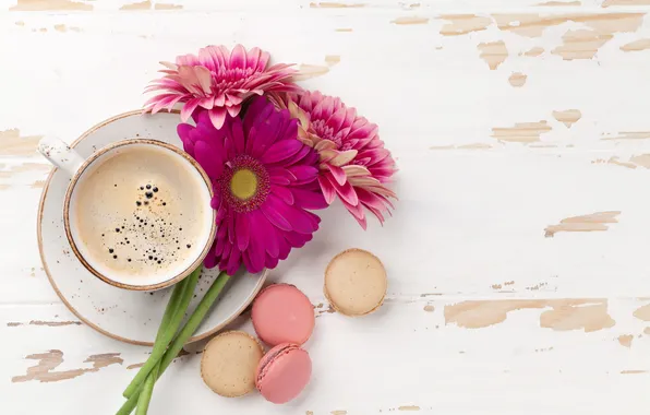 Flowers, gerbera, wood, pink, flowers, coffee cup, with love, macarons