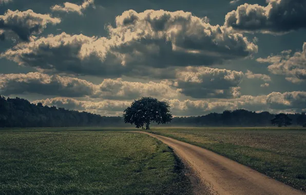 Road, clouds, green grass, beauty, lonely tree, road, clouds, beauty