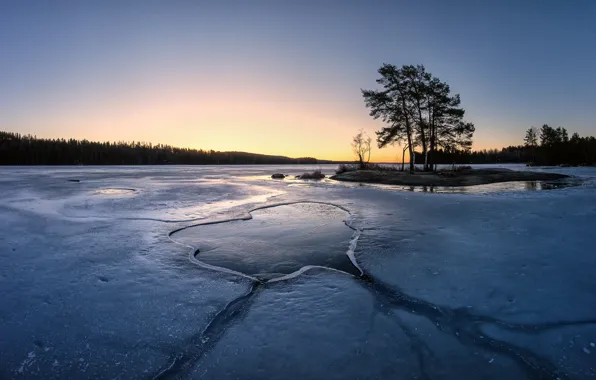 Lake, tree, ice