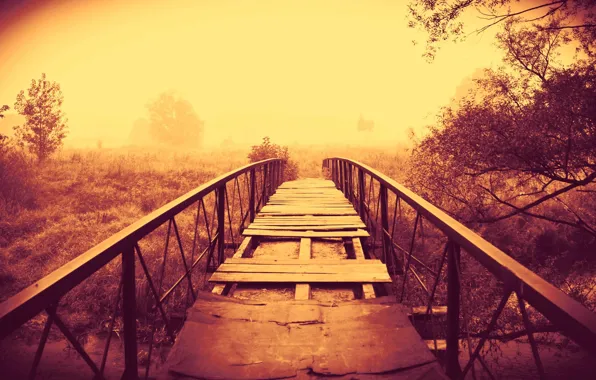 Picture grass, trees, bridge, nature