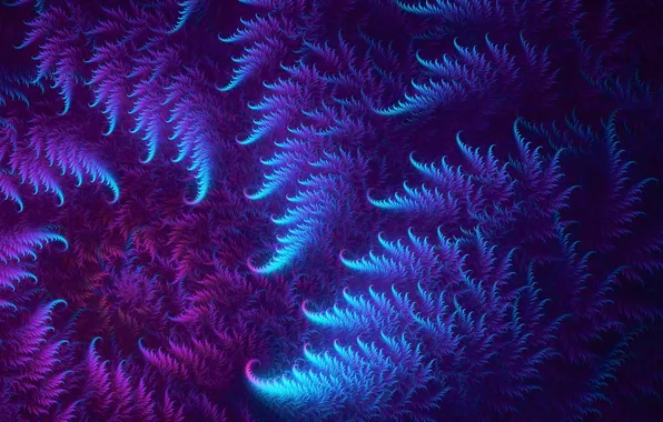 Purple, curls, fractal