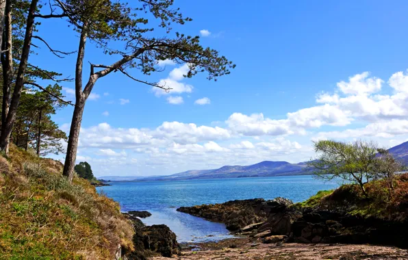 Picture sea, the sky, clouds, trees, coast, Ireland, Kenmare Bay, Kerry