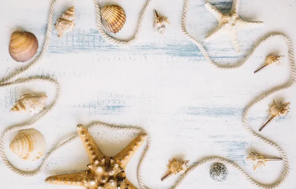 Background, shell, starfish, thread