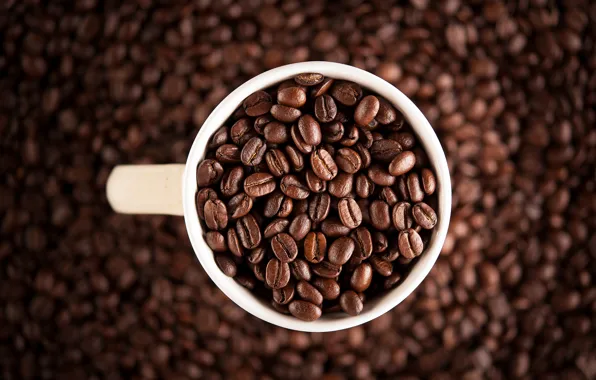 Macro, coffee, grain, focus, blur, Cup, white