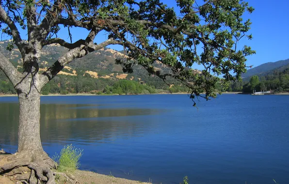 The sky, mountains, lake, tree, USA, California