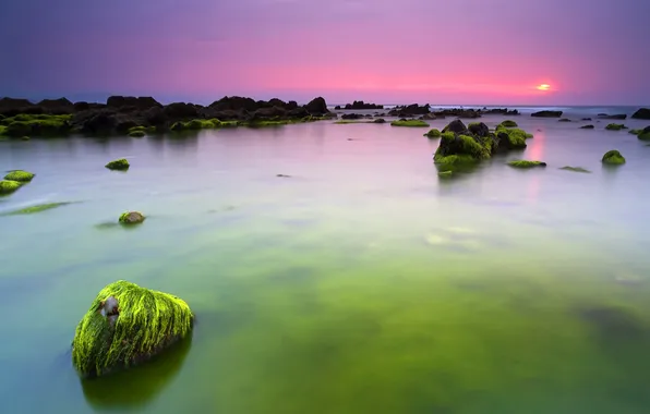 Sea, water, green, stones, the ocean, morning