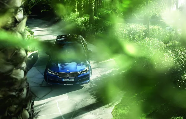BMW, xDrive, Alpina, 2017