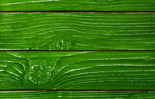 Tree, Board, paint, green