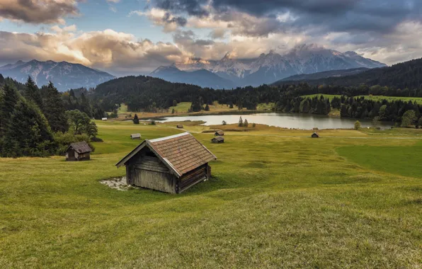 Field, forest, grass, clouds, mountains, fog, lake, shore