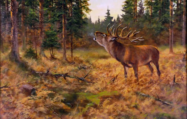 Trees, Forest, Picture, Deer, Horns, German artist, George Majewicz, George Majevich