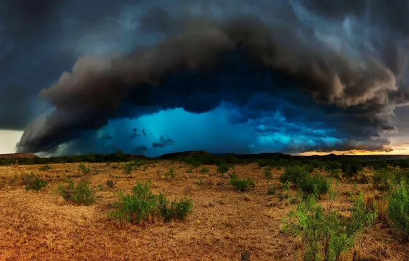 The storm, the sky, clouds, the steppe, the bushes, sky, clouds