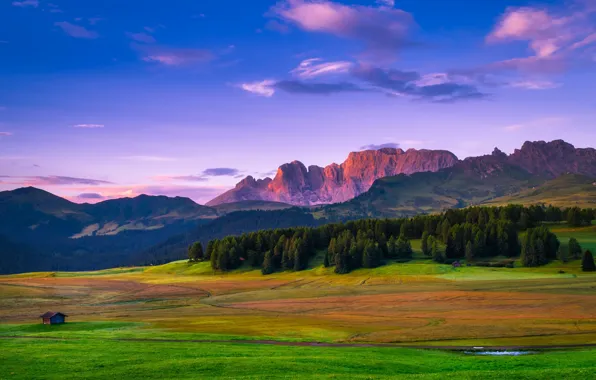 Picture field, forest, the sky, grass, clouds, trees, sunset, mountains