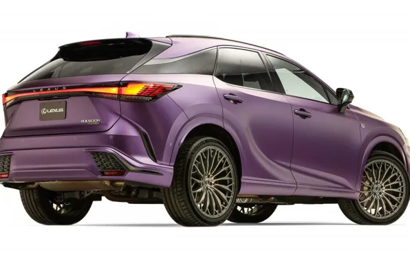 Lexus, Lexus, exterior, 2022, Lexus RX500h Sport Performance