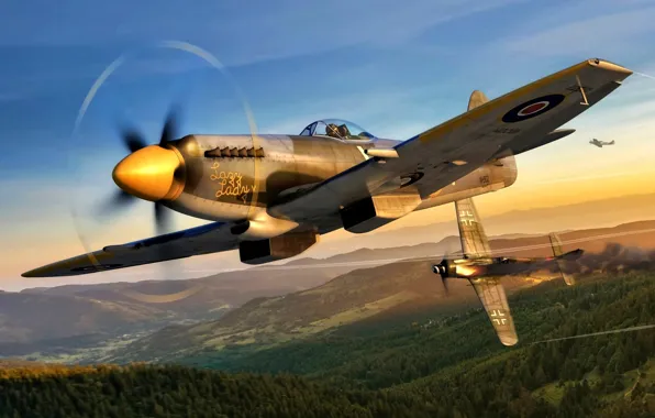 Picture fighter-bomber, Focke-Wulf, Supermarine, WWII, Fw.190D-9, Spitfire Mk.XIVe