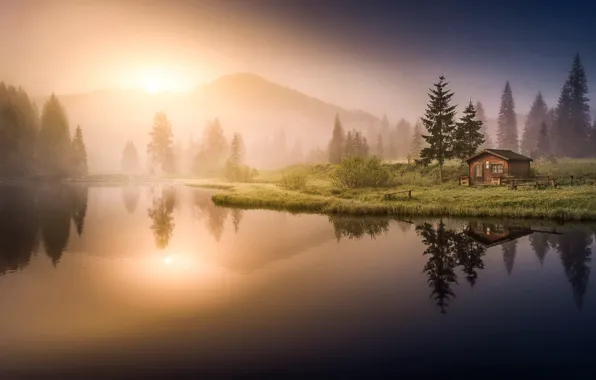 Fog, lake, home, morning