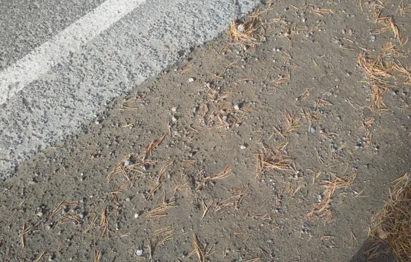 Asphalt, needles, markup, crumbs, stones.