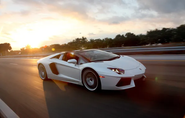 White, Roadster, Lamborghini, supercar, white, Roadster, road, sky