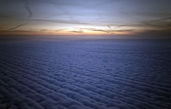 Field, snow, night, fog