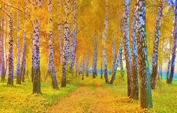 Road, autumn, grass, leaves, trees, landscape, picture, birch