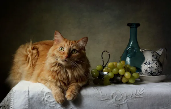 Picture cat, red, grapes, vase