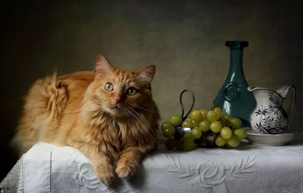 Cat, red, grapes, vase