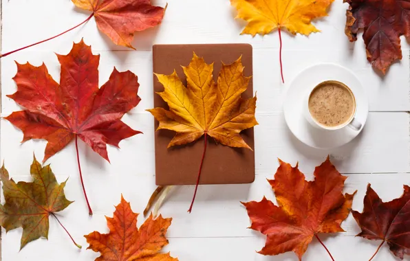 Picture autumn, leaves, background, colorful, maple, wood, autumn, leaves