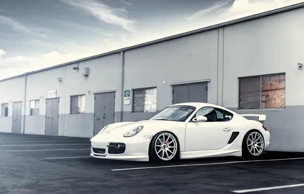 Picture white, Porsche, white, drives, Porsche
