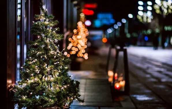 City, the city, lights, lights, tree, holiday, street, Happy New Year