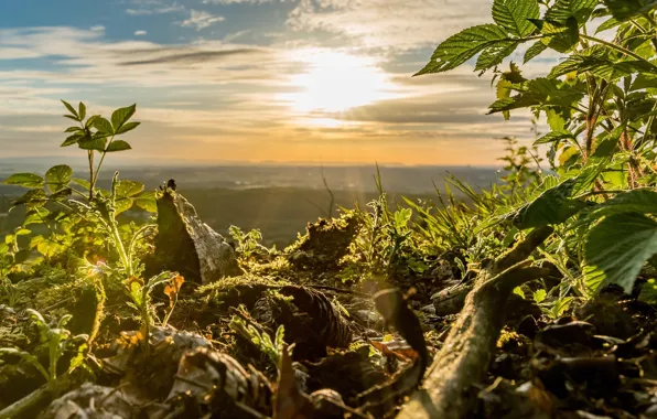 Landscape, nature, beauty