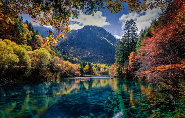 Autumn, trees, mountains, nature, lake, river