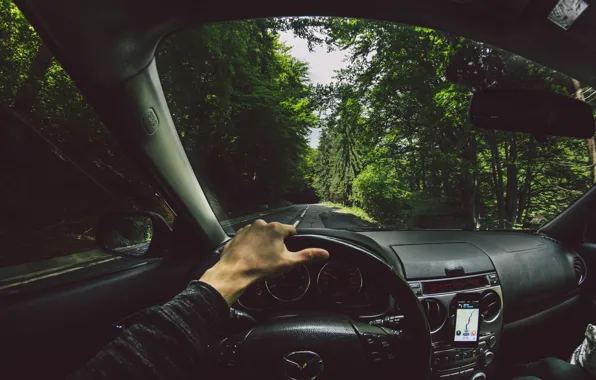 Picture road, forest, hand, the wheel, mazda, Navigator