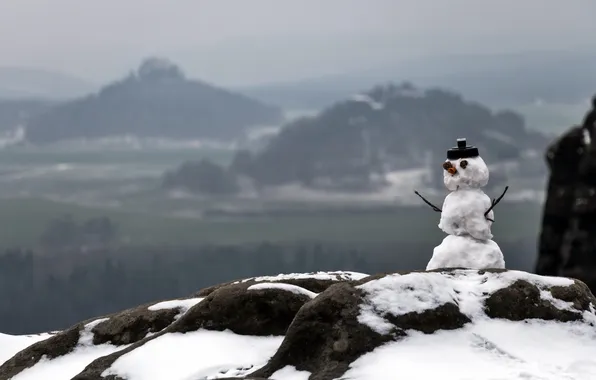 Picture winter, nature, snowman