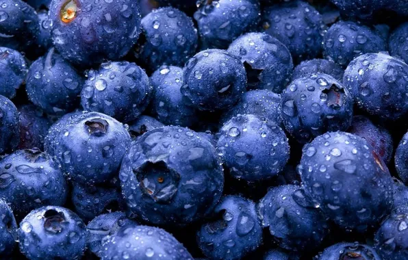 Berry, blueberries, Common blueberries