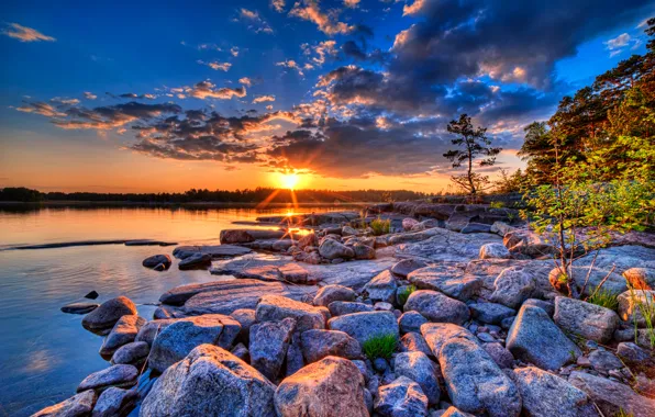 Picture the sky, the sun, trees, sunset, lake, stones