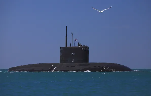 Boat, underwater, Novorossiysk, The black sea, diesel, the project 636.3