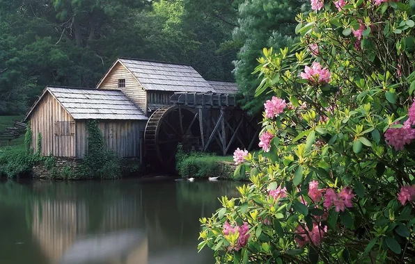 Picture lake, mill, Grist Mill