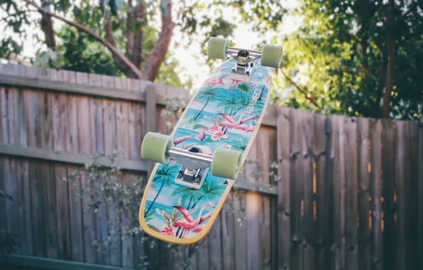 Picture figure, the fence, Board, skateboard