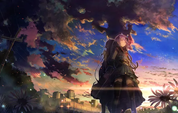 Wallpaper flowers, dawn, girl