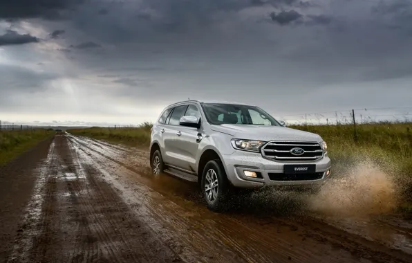 Picture squirt, Ford, primer, Everest, 4WD, XLT, 2019