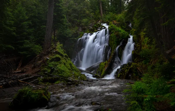 Forest, river, waterfall, Oregon, cascade, Oregon, National Creek Falls