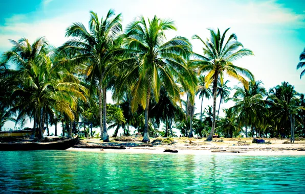 Picture beach, tropics, palm trees, the ocean, boat, exotic