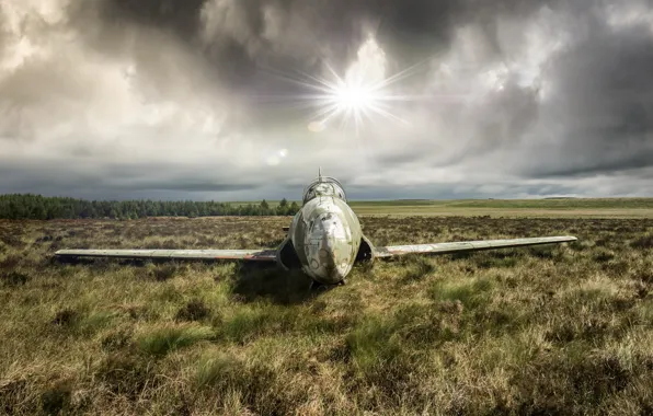 Picture field, the sky, the plane