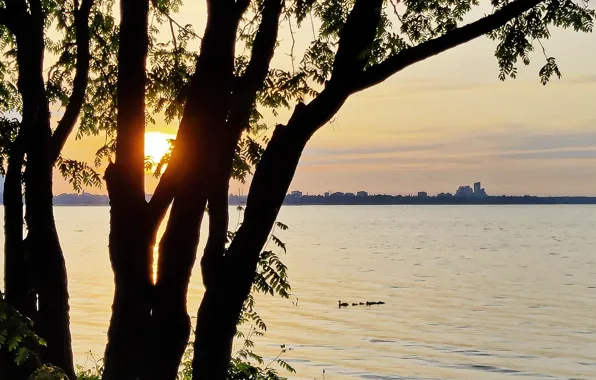 Water, lake, Sunset, Bay, pond, peace