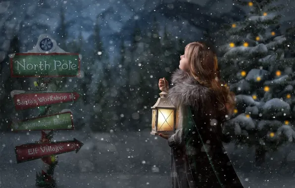Winter, snow, Christmas, girl, lantern, New year, tree, pointers
